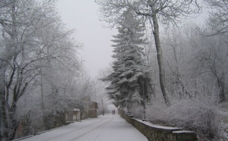 Прогулка в пасмурный день.
