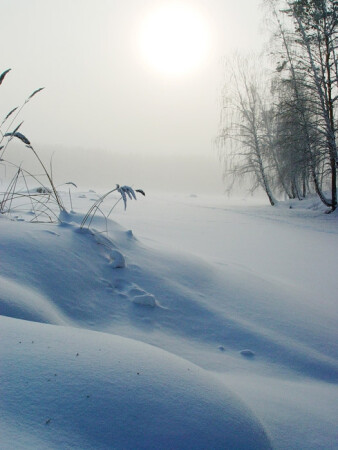 Февраль