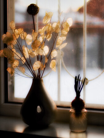 зимний натюрморт