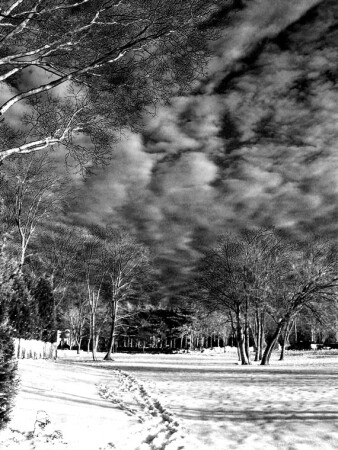 Winter