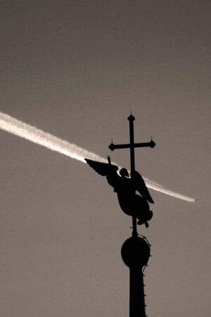 Куда, коллега ?