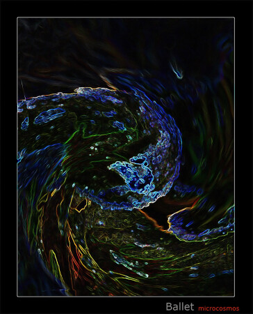 Ballet microcosmos 2