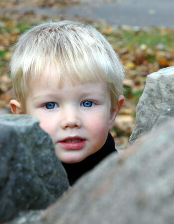 Среди камней