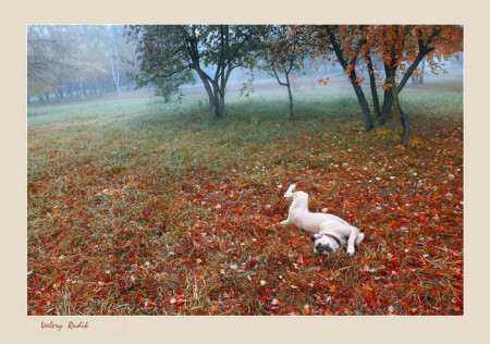 ОСЕННИЙ ДУРМАН