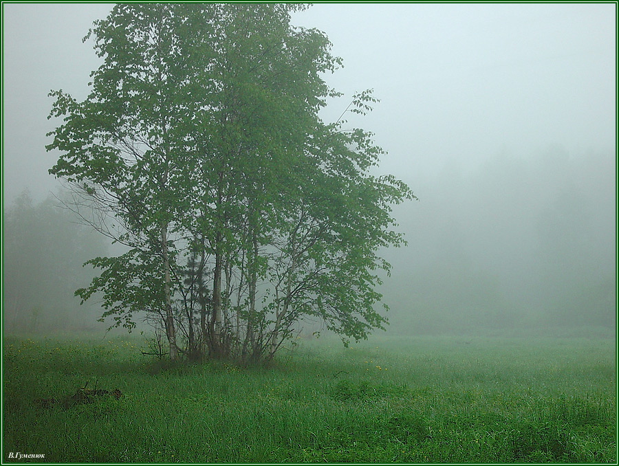 Кадр DSC06798