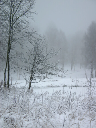 Туманное настроение.