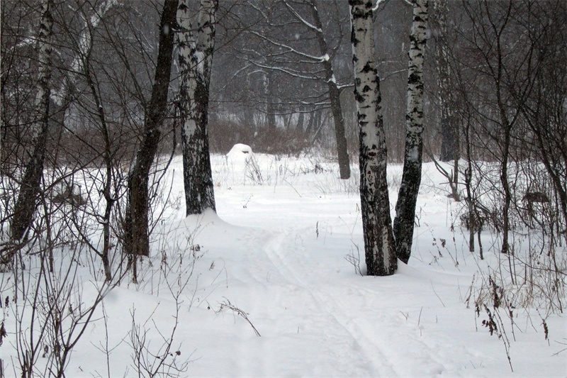Зима