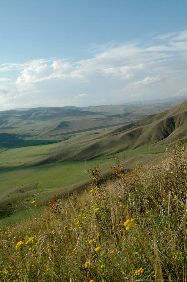 Предгорье