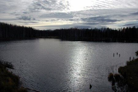 Без названия 2