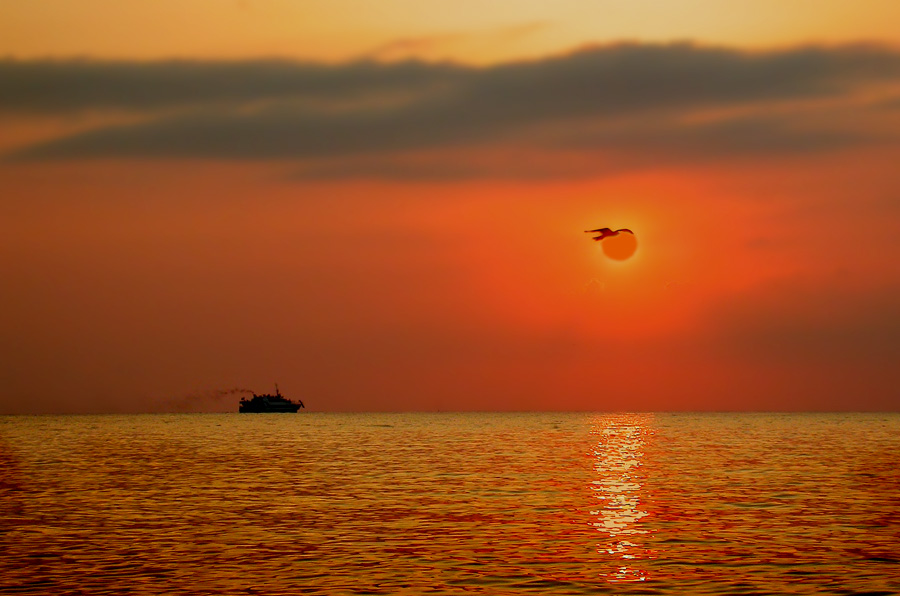 ЗОЛОТОЕ ЧЕРНОЕ МОРЕ