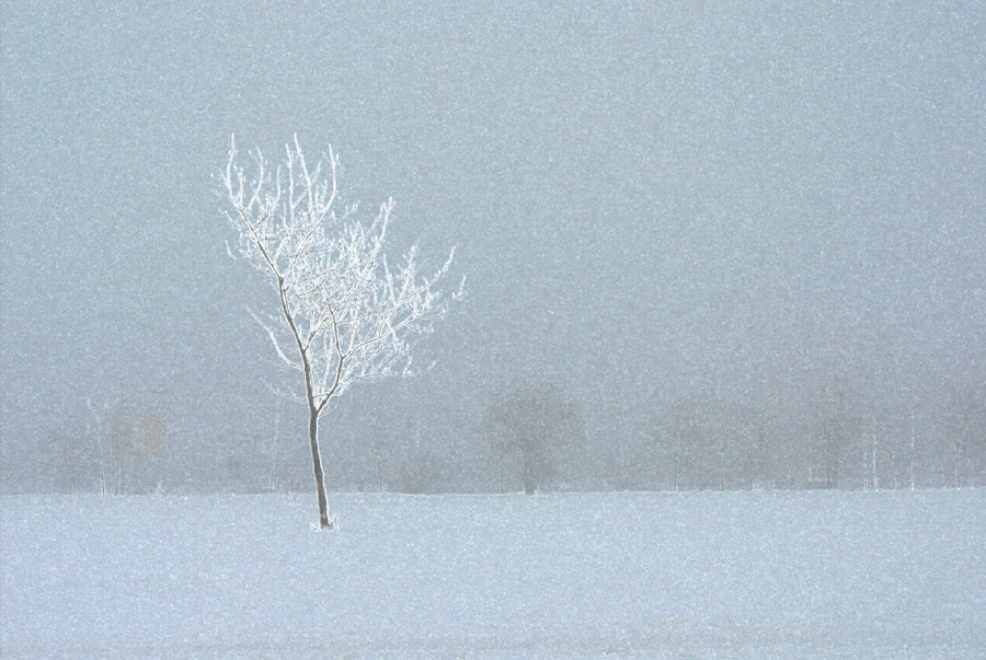 ЗИМА