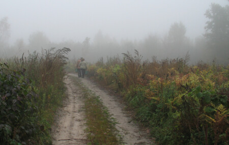 Осень наших дней
