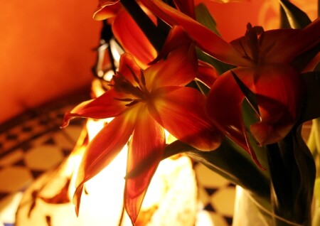 a moment of spring...