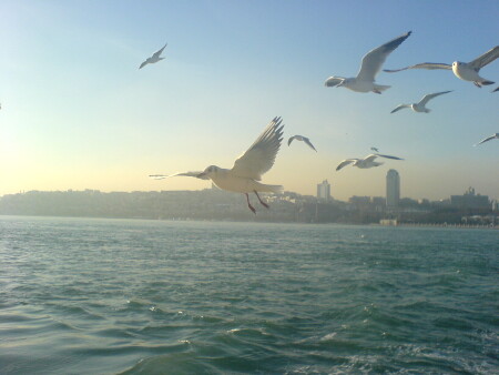 В наступление!