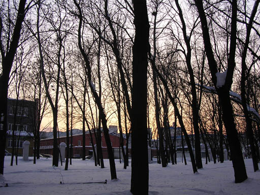 Природа в городе
