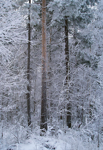 -35