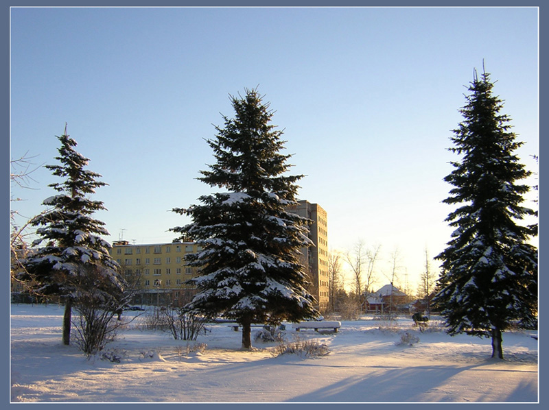 Три сестры
