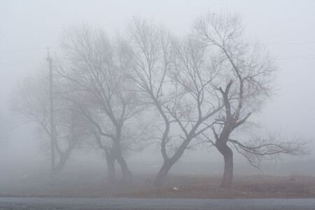 Ленин в Польше