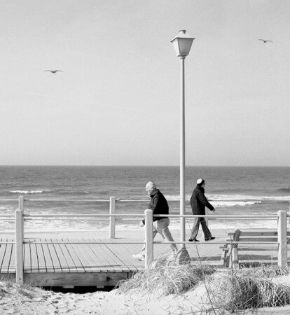 disjunction