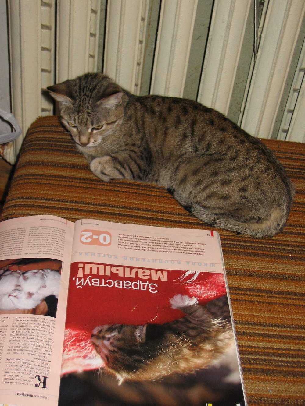 Подготовка к новой роли
