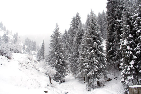 ущелье Кимасары