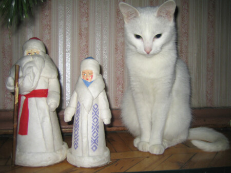 При чем тут собаки..