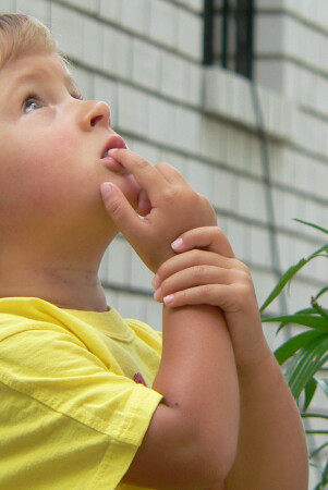 как она туда забралась?...