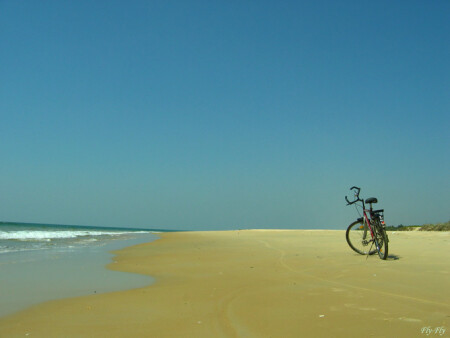 All bikes get to paradise... Все велосипеды попадают в рай
