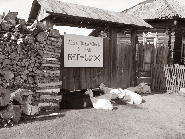 наш вернисаж