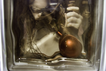 Прозрачность