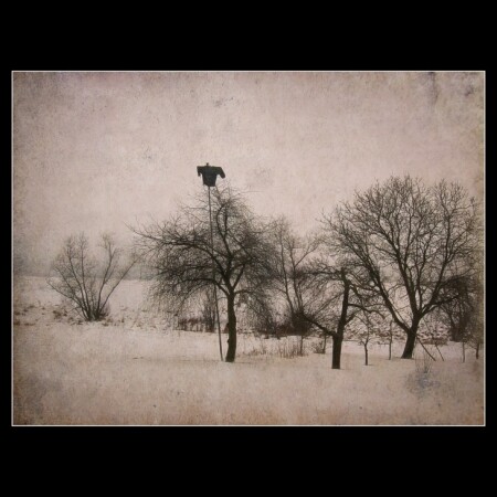 Прогулки пана Антонa [14]