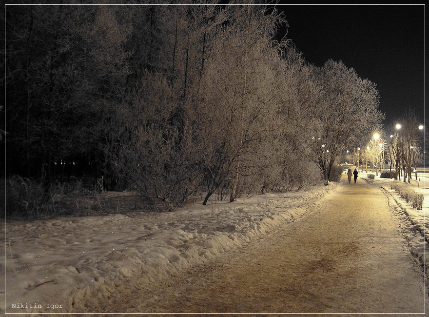 Ночная прогулка