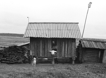 В деревне