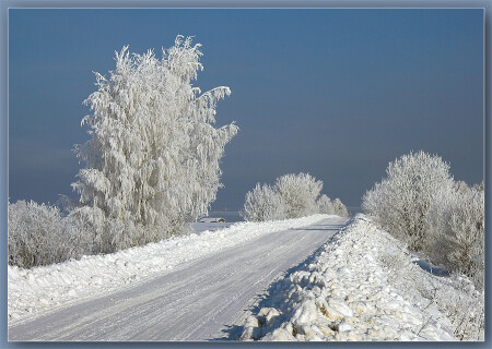 В краю, где белые дороги...