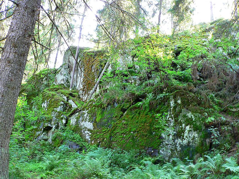 лукоморье