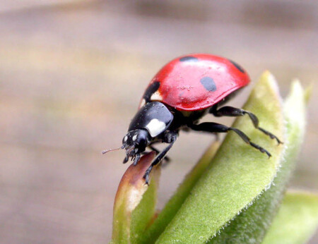 Сейчас взлечу