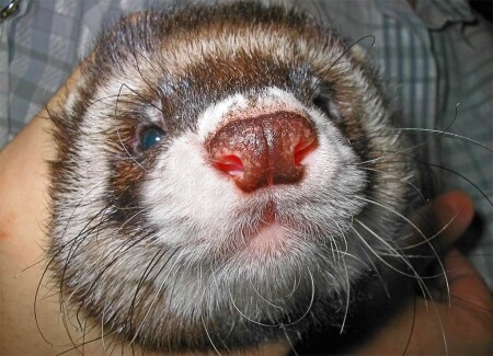 после обеда - я добрый.