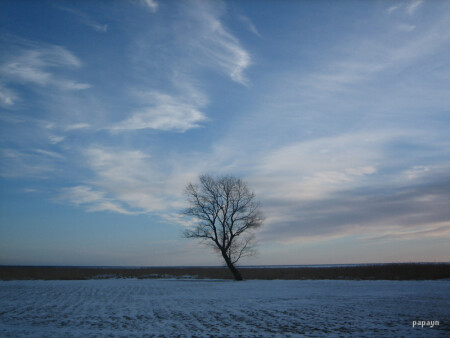 Одиночество
