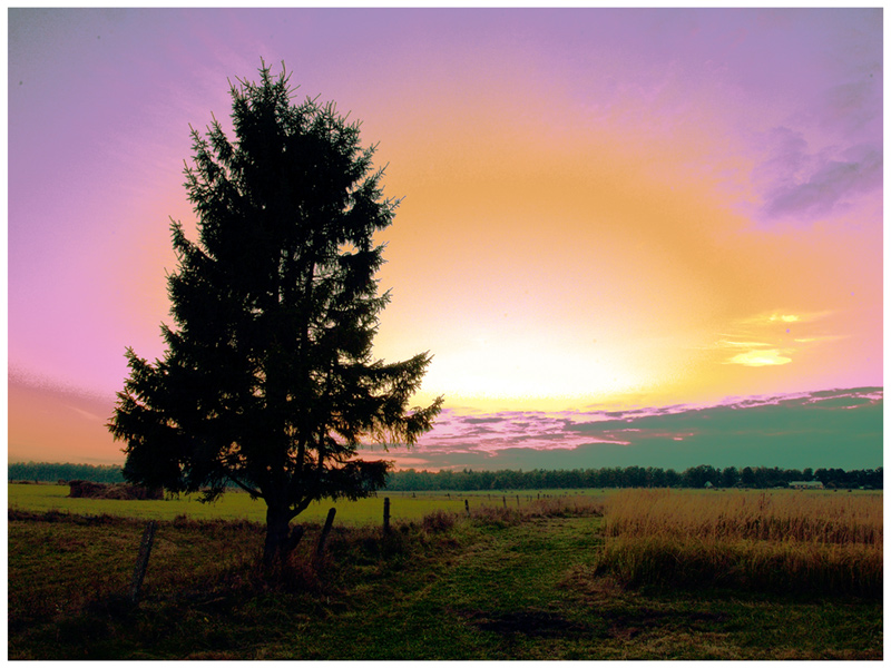 &quot;ACID&quot; SUNSET