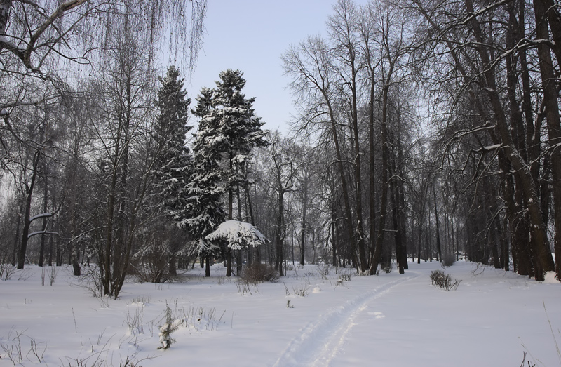 В парке*