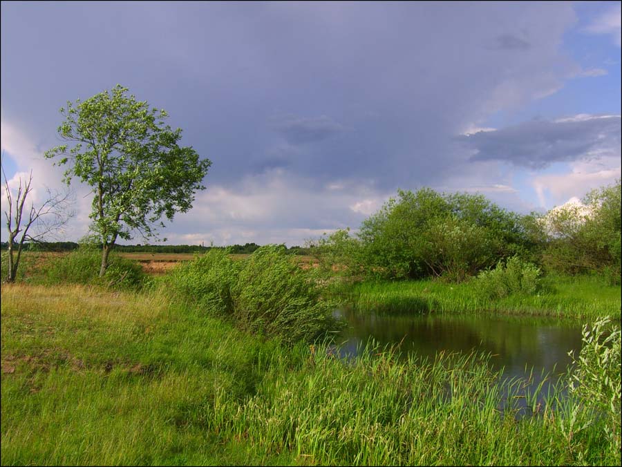 Рыбное местечко