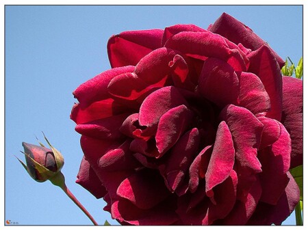 Весеннее настроение