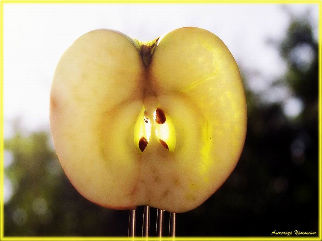 ********