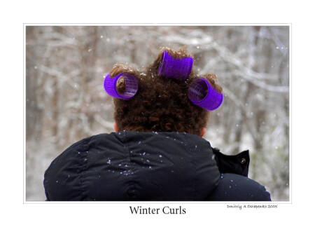 Winter Curls