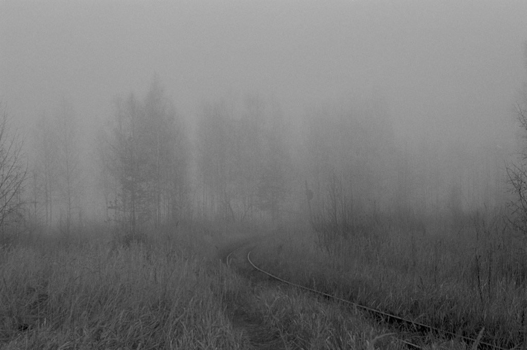 в тумане