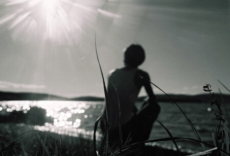 место под солнцем