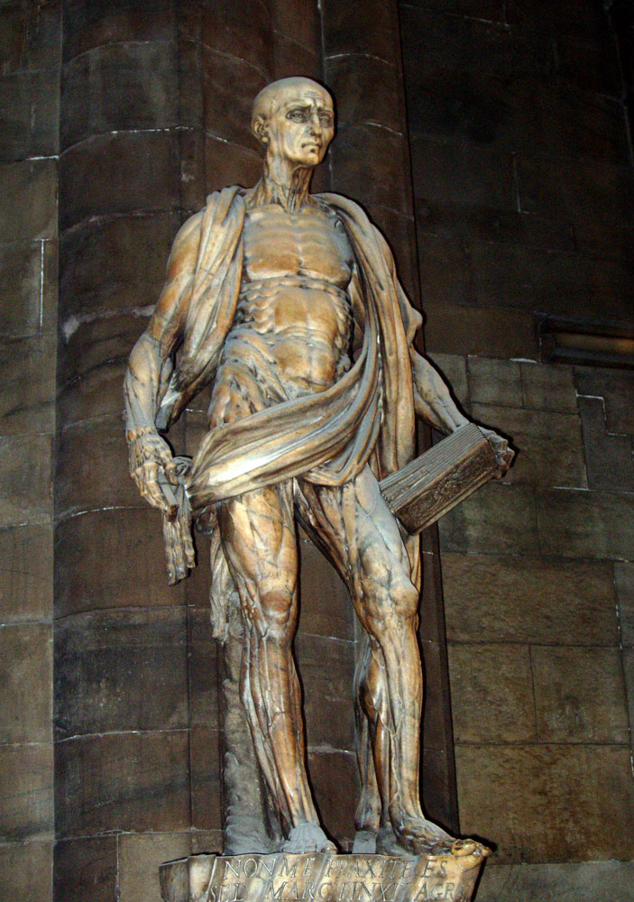 Without skin