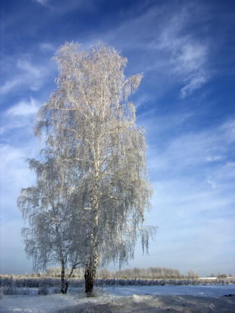 Зима