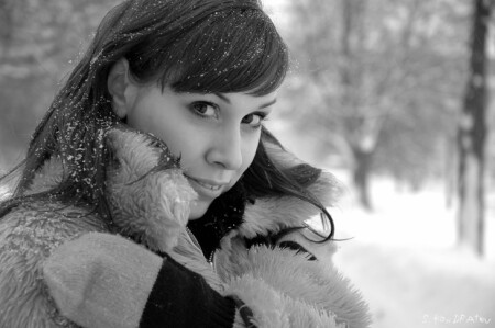 Зимний сад.