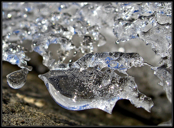 Fishice
